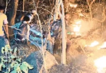 जंगल में भीषण आग, बुझाने में जुटा वन विभाग; हड़ताल के बीच बढ़ी चुनौती