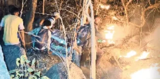 जंगल में भीषण आग, बुझाने में जुटा वन विभाग; हड़ताल के बीच बढ़ी चुनौती