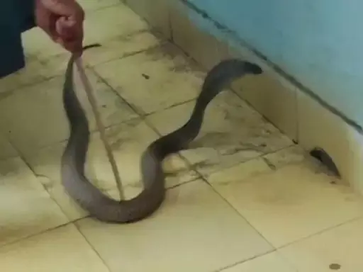 5297529-untitled-69-copy