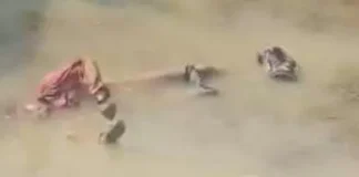 दोस्ती हुई खूनी: युवक ने दोस्त की हत्या कर शव डबरी में फेंका, इलाके में मचा हड़कंप