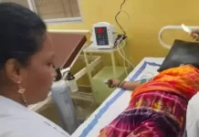 मधुमक्खियों के हमले से महिला की मौत, खेत में काम कर रहीं कई महिलाएं घायल