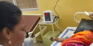 मधुमक्खियों के हमले से महिला की मौत, खेत में काम कर रहीं कई महिलाएं घायल