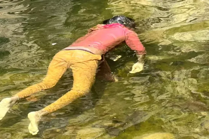 5304994-untitled-37-copy