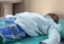 जंगल में महुआ बीनने गए दंपति पर मधुमक्खियों का हमला, बुजुर्ग की मौत