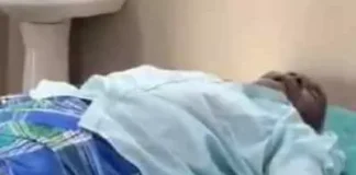 जंगल में महुआ बीनने गए दंपति पर मधुमक्खियों का हमला, बुजुर्ग की मौत