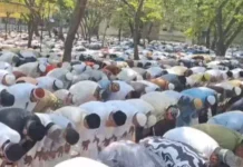 रायपुर में ईद की रौनक: नमाज, गले मिलकर मुबारकबाद और अमन-चैन की दुआएं