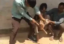 भीड़ का कहर: चोरी के शक में युवक और उसके पिता से मारपीट, तीन पर केस दर्ज