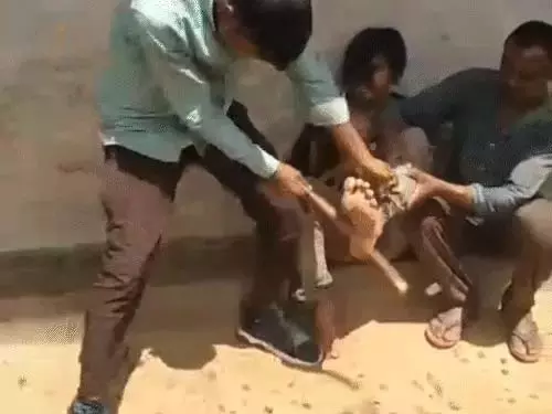 5311853-untitled-24-copy