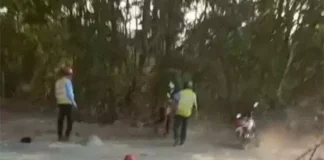 मासूम पर कहर: सीमेंट प्लांट में सुरक्षाकर्मी की बेरहमी, वीडियो वायरल