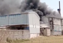 CG BREAKING: राइस मिल में लगी भीषण आग, मची अफरा-तफरी…