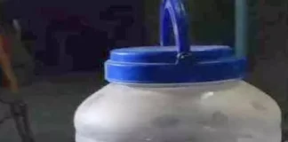 घर के भीतर निकले दो नाग, वन विभाग ने सुरक्षित किया रेस्क्यू