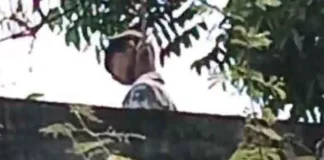 9वीं के छात्र ने की आत्महत्या, आम के पेड़ से लटका मिला शव