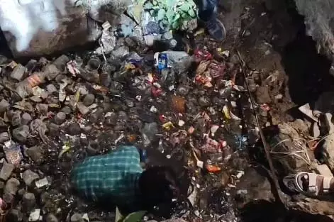 5320425-untitled-5-copy