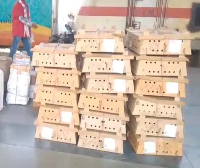 5324044-untitled-47-copy