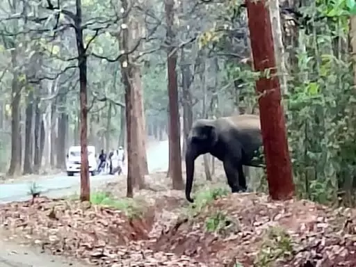 5326005-untitled-17-copy