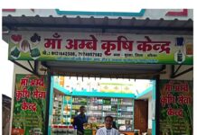 बिहान से जागी आत्मनिर्भरता की अलख, महिलाएं बन रहीं सशक्त और सक्षम