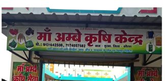 बिहान से जागी आत्मनिर्भरता की अलख, महिलाएं बन रहीं सशक्त और सक्षम