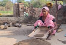 महतारी वंदन योजना ने बदल दी अनिता बाई की जिंदगी