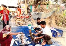 छोटे तालाब, बड़ी समृद्धि” -जय सिंगारासती मछुआ सहकारी समिति की उल्लेखनीय उपलब्धि