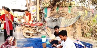 छोटे तालाब, बड़ी समृद्धि” -जय सिंगारासती मछुआ सहकारी समिति की उल्लेखनीय उपलब्धि