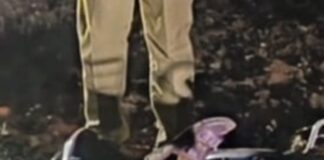 महिला और बच्ची की सड़क हादसे में मौत: अज्ञात वाहन की टक्कर से बाइक सवार दो की गई जान