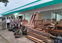 अवैध सागौन कटाई पर वन विभाग की बड़ी कार्रवाई गुप्त सूचना पर दबिश, लकड़ी और तैयार फर्नीचर जब्त मामले में जांच जारी, आगे भी सख्ती के संकेत