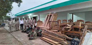 अवैध सागौन कटाई पर वन विभाग की बड़ी कार्रवाई गुप्त सूचना पर दबिश, लकड़ी और तैयार फर्नीचर जब्त मामले में जांच जारी, आगे भी सख्ती के संकेत