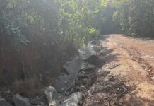 पहली बारिश में बह गई नाली, 7-8 साल से जमे अधिकारी पर सवाल—14 किमी सड़क-नाली निर्माण में मिलीभगत के आरोप