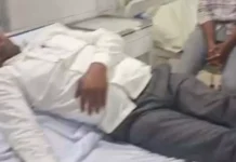 मधुमक्खियों के झुंड का अचानक हमला, कांग्रेसी नेता समेत 8 लोग घायल अस्पताल के पास मची अफरा-तफरी, लंबे समय से बनी समस्या पर उठे सवाल