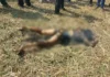 खेत में जली हुई लाश मिलने से सनसनी, जांच में जुटी पुलिस