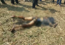 खेत में जली हुई लाश मिलने से सनसनी, जांच में जुटी पुलिस
