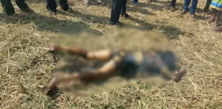 खेत में जली हुई लाश मिलने से सनसनी, जांच में जुटी पुलिस
