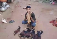 ‘शेकरू’ का शिकार, इंस्टाग्राम रील ने खोली पोल; युवक गिरफ्तार, 10 साथी फरार