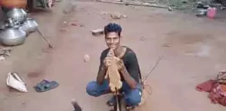 ‘शेकरू’ का शिकार, इंस्टाग्राम रील ने खोली पोल; युवक गिरफ्तार, 10 साथी फरार