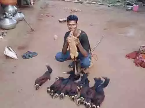 5340291-untitled-7-copy