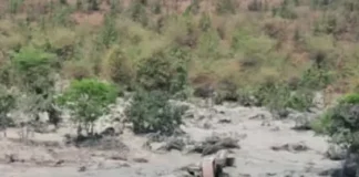 कोरबा: राखड़ डेम फटा: जेसीबी सहित ऑपरेटर जिंदा दबा, प्रशासन की देरी पर उठे सवाल