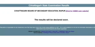 CGBSE 10वीं-12वीं रिजल्ट जारी, 5.66 लाख छात्रों में 2.45 लाख 12वीं के, बेटियों ने फिर मारी बाजी, 4 साल से 80% के पार सफलता दर, CM साय ने स्टूडेंट्स को दी बधाई