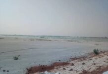 कोरबा: राखड़ घोटाले की आहट: नेताम ट्रांसफर, शंकर इंजीनियरिंग पर जांच की मांग