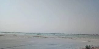 कोरबा: राखड़ घोटाले की आहट: नेताम ट्रांसफर, शंकर इंजीनियरिंग पर जांच की मांग