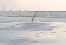 झाबू डैम राखड़ प्रबंधन में बड़ा खेल? लो-लाइन एरिया के नाम पर अनियमितता, शंकर इंजीनियरिंग और अधिकारियों पर सवाल