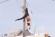 CG BREAKING: करंट से ठेका श्रमिक की मौत, सुरक्षा इंतजामों पर उठे सवाल