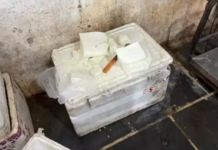 पनीर फैक्ट्री पर खाद्य विभाग की छापेमारी, मिलावट की आशंका पर सैंपल जब्त