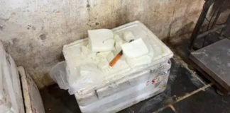 पनीर फैक्ट्री पर खाद्य विभाग की छापेमारी, मिलावट की आशंका पर सैंपल जब्त