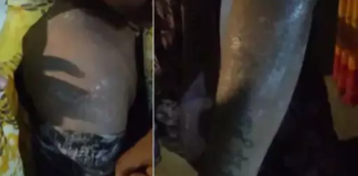 CG BREAKING: गैस सिलेंडर पाइप फटने से लगी आग, तीन महिलाएं समेत चार लोग झुलसे