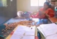फाइल गुम होने से परेशान युवक का अनोखा विरोध, हाउसिंग बोर्ड कार्यालय में टेबल पर बिखेरे बादाम