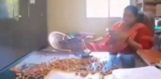 फाइल गुम होने से परेशान युवक का अनोखा विरोध, हाउसिंग बोर्ड कार्यालय में टेबल पर बिखेरे बादाम