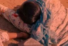 स्कूल जा रही शिक्षिकाओं को ट्रक ने मारी टक्कर, एक की मौके पर मौत, दूसरी गंभीर