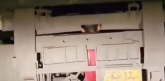 कोरबा में ट्रेलर के नीचे बैठकर युवक ने तय किया सफर, खौफनाक वीडियो ने उठाए कई सवाल