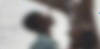 पेड़ से लटके मिले युवक-महिला के शव, इलाके में हड़कंप