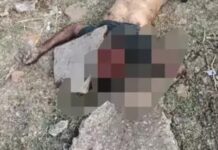 दिल दहला देने वाली वारदात: मजदूर की पत्थर से कुचलकर हत्या